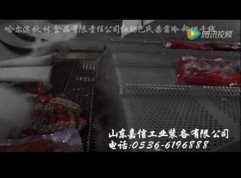  哈爾濱秋林食品巴氏殺菌烘干線